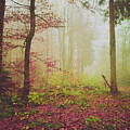 Vailed in tranquility