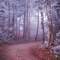 Frost
